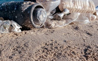 Mostra dei rifiuti raccolti in spiaggia al Museo Campano – 12/11 al 27/11