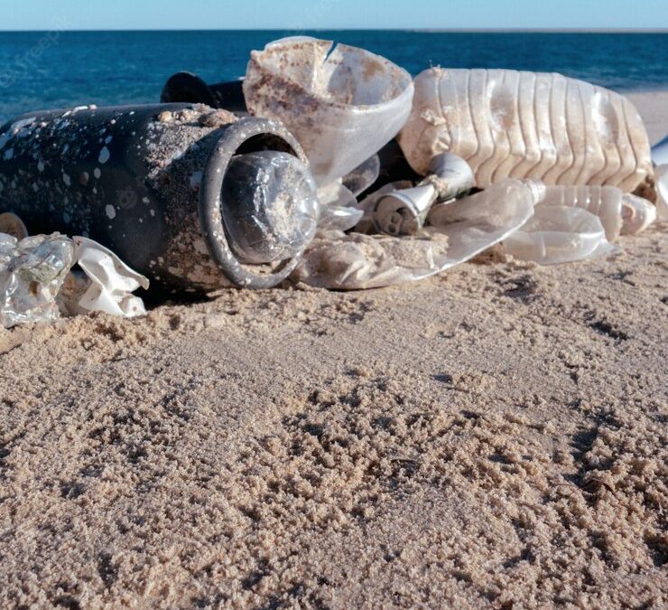 Mostra dei rifiuti raccolti in spiaggia al Museo Campano – 12/11 al 27/11
